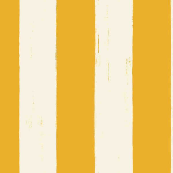 Toldo Golden | Coordonné