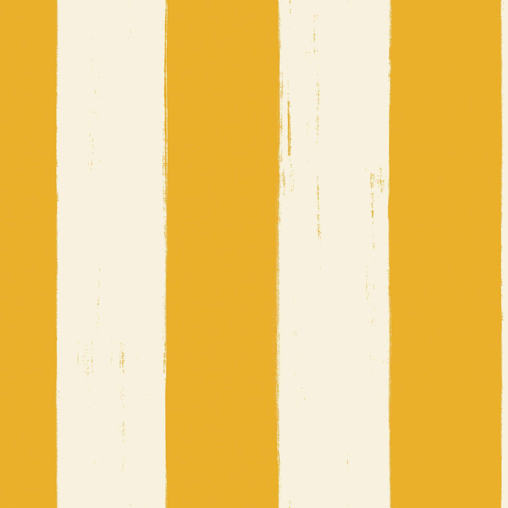 Toldo Golden | Coordonné