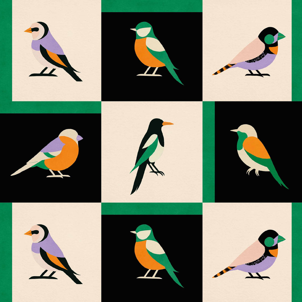 Like a Bird Noir | Coordonné