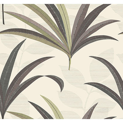 El Morocco Palm Wallpaper | Jeffrey Stevens