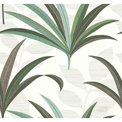 El Morocco Palm Wallpaper | Jeffrey Stevens