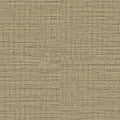 Carlow Golden | Wolf Gordon Wallcoverings