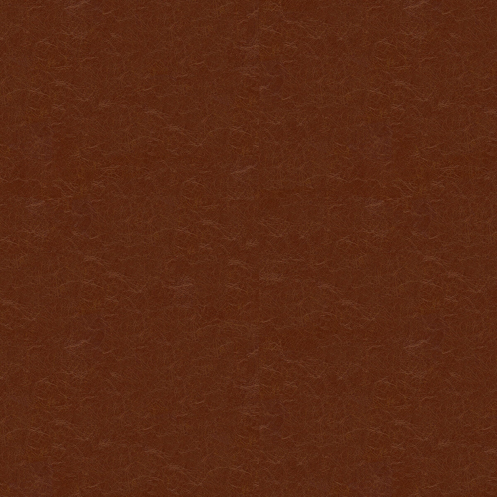 Samples and Purchasing available for Captured - Cappucio Brown By Kravet Couture |  |Solid Texture Upholstery Vinyl/Faux Leather at Designer Wallcoverings and Fabrics