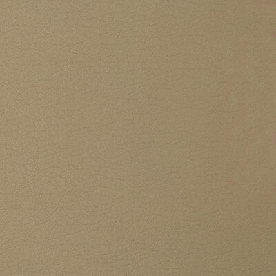 Samples and Purchasing available for Kravet Design - Cara-116 Beige By Kravet Design |  |Solid Texture Upholstery Vinyl/Faux Leather at Designer Wallcoverings and Fabrics