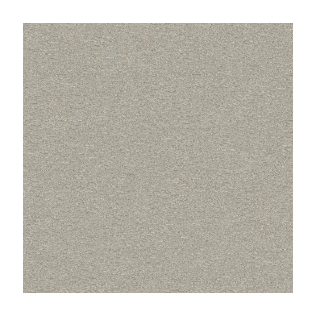 Samples and Purchasing available for Kravet Design - Cara-11 Light Grey By Kravet Design |  |Solid Texture Upholstery Vinyl/Faux Leather at Designer Wallcoverings and Fabrics