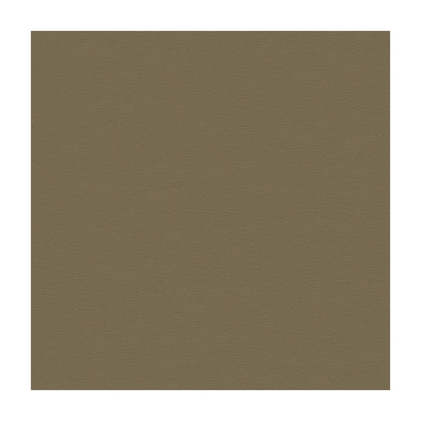 Samples and Purchasing available for Kravet Design - Cara-1611 Grey By Kravet Design |  |Solid Texture Upholstery Vinyl/Faux Leather at Designer Wallcoverings and Fabrics