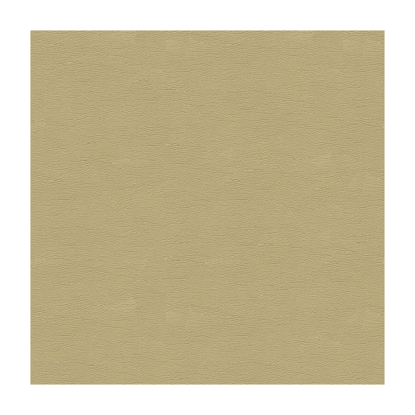 Samples and Purchasing available for Kravet Design - Cara-16 Beige By Kravet Design |  |Solid Texture Upholstery Vinyl/Faux Leather at Designer Wallcoverings and Fabrics