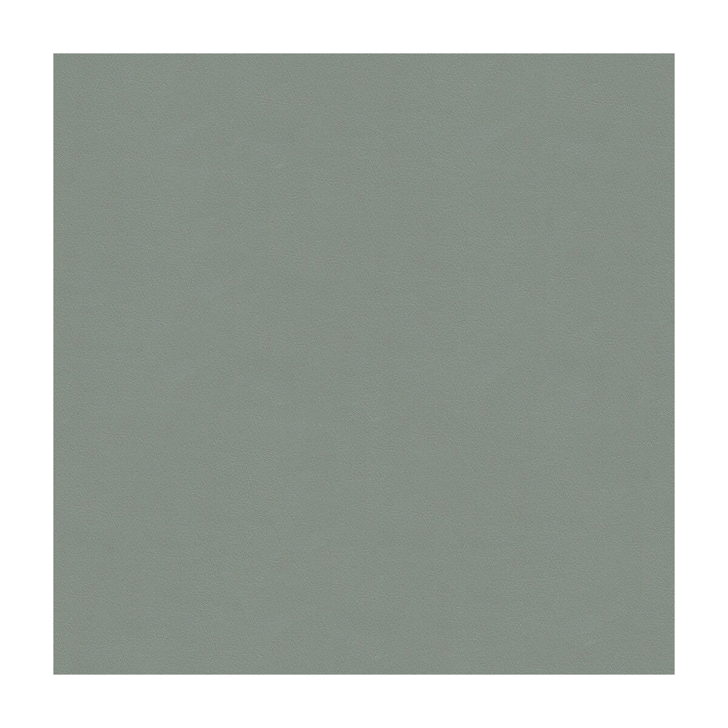 Samples and Purchasing available for Kravet Design - Cara-52 Light Grey By Kravet Design |  |Solid Texture Upholstery Vinyl/Faux Leather at Designer Wallcoverings and Fabrics