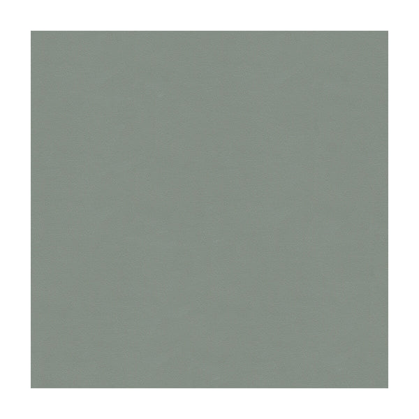 Samples and Purchasing available for Kravet Design - Cara-52 Light Grey By Kravet Design |  |Solid Texture Upholstery Vinyl/Faux Leather at Designer Wallcoverings and Fabrics