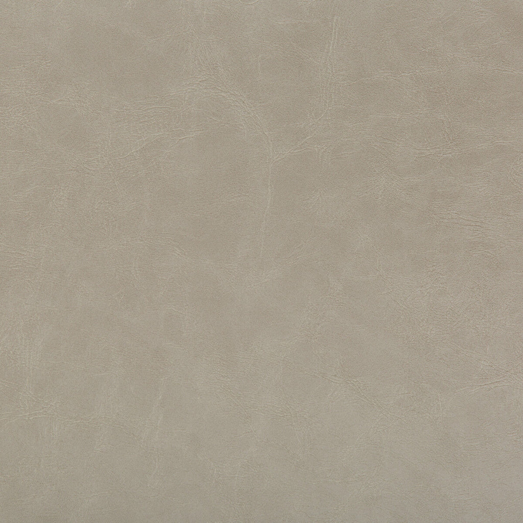 Samples and Purchasing available for Kravet Design - Carry Back-16 Beige By Kravet Design |  |Solid Texture Upholstery Vinyl/Faux Leather at Designer Wallcoverings and Fabrics
