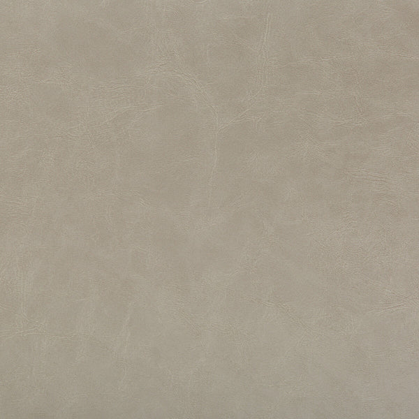 Samples and Purchasing available for Kravet Design - Carry Back-16 Beige By Kravet Design |  |Solid Texture Upholstery Vinyl/Faux Leather at Designer Wallcoverings and Fabrics
