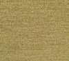 Plumeria - Rainforest Wallcovering | Phillipe Romano