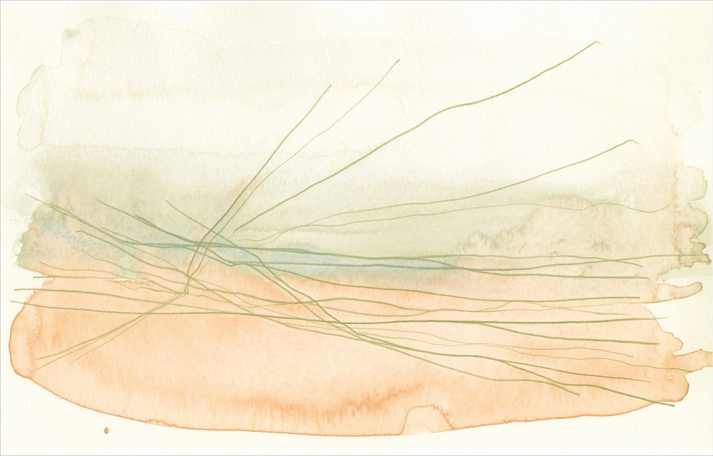 Celine Orange-&-Green  Wallpaper (Srd-Ce1-01) | Sarah Rowland | Koroseal