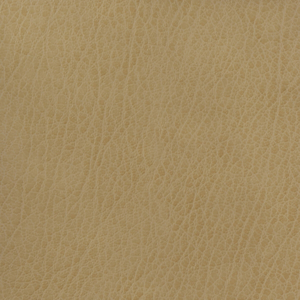 Samples and Purchasing available for Kravet Basics - Celine-106 Beige By Kravet Basics |  |Solid Texture Upholstery Vinyl/Faux Leather at Designer Wallcoverings and Fabrics