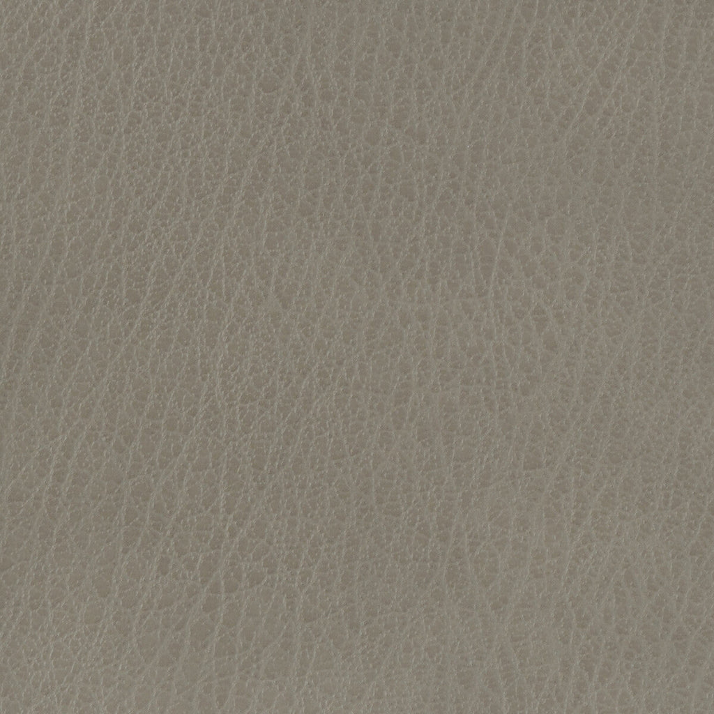 Samples and Purchasing available for Kravet Basics - Celine-11 Grey By Kravet Basics |  |Solid Texture Upholstery Vinyl/Faux Leather at Designer Wallcoverings and Fabrics