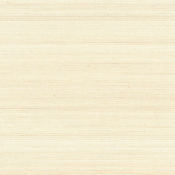 Abaca Lin Ivoire | CMO Paris