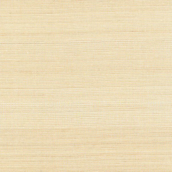 Abaca Lin Blond | CMO Paris