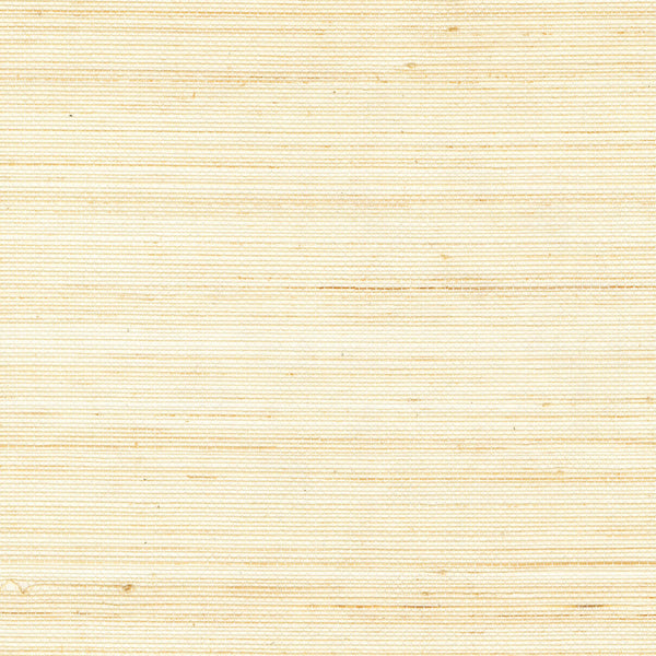 Abaca Précieux Ivoire | CMO Paris