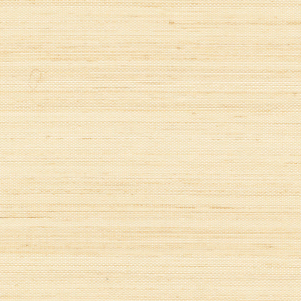Abaca Précieux Naturel | CMO Paris