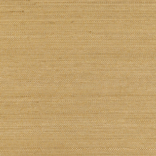 Abaca Précieux Or | CMO Paris