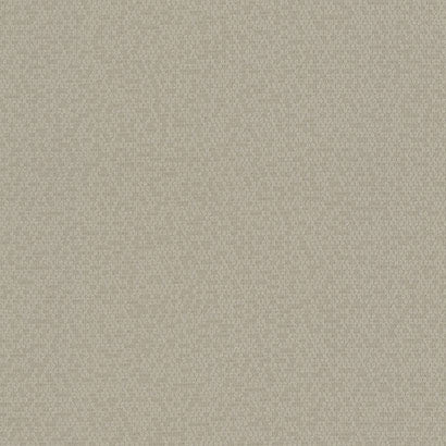 Honey Bee Wallpaper | Jeffrey Stevens