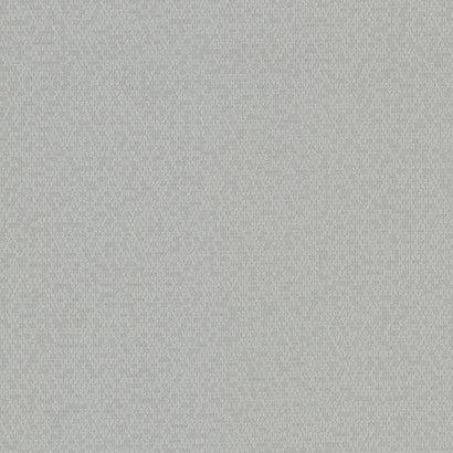 Honey Bee Wallpaper | Jeffrey Stevens