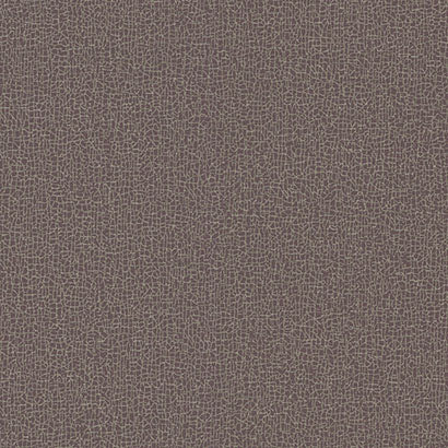 Sweet Birch Wallpaper | Jeffrey Stevens