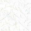 Costa  Macaw  Wallpaper (Ct21-02) | Koroseal Type 2 Vinyl | Koroseal