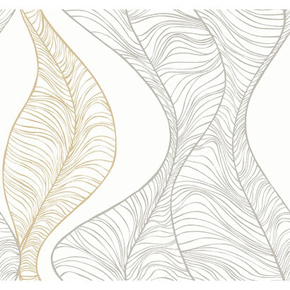 Hoopla Wallpaper | Jeffrey Stevens