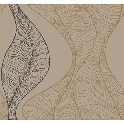 Hoopla Wallpaper | Jeffrey Stevens