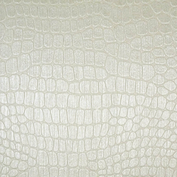 Le Gator Crocodile Albina Wallpaper | Phillipe Romano