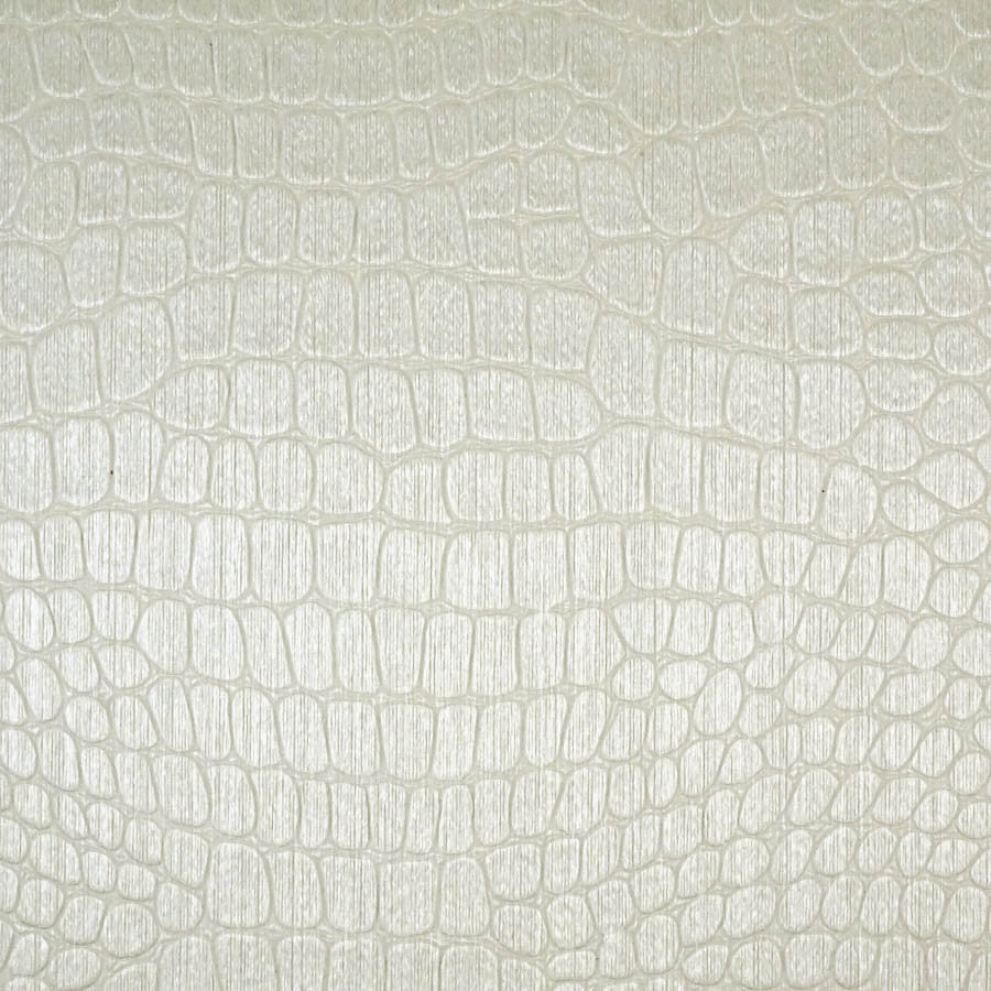 Le Gator Crocodile Albina Wallpaper | Phillipe Romano