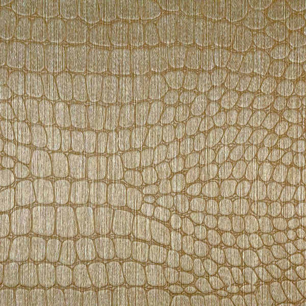 Le Gator Crocodile Orinoco Natural | Phillipe Romano