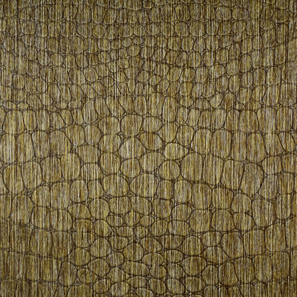 Le Gator Crocodile Nile Wallpaper | Phillipe Romano