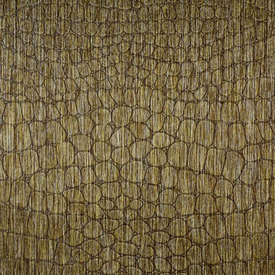 Le Gator Crocodile Nile Wallpaper | Phillipe Romano