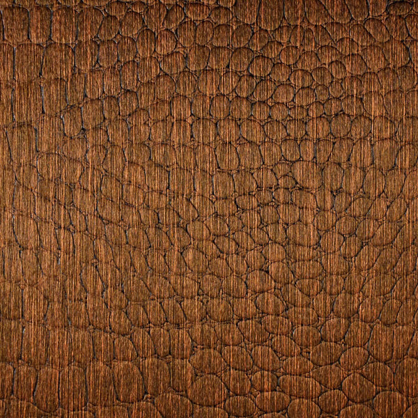 Le Gator Crocodile Morelet Wallpaper | Phillipe Romano