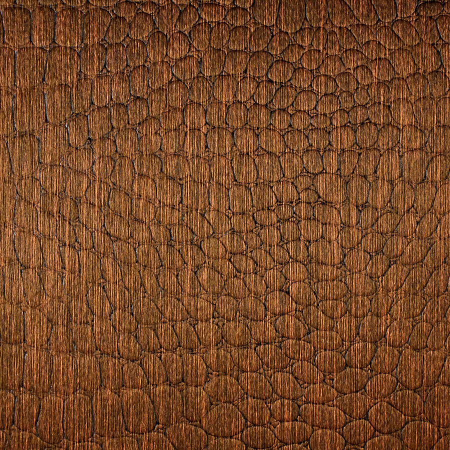 Le Gator Crocodile Morelet Wallpaper | Phillipe Romano