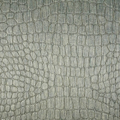 Le Gator Crocodile Salt Water Natural | Phillipe Romano