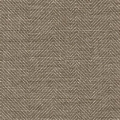 Cross the Line Compassion Brown - Taupe Commercial Wallcovering | Koroseal