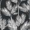 King Palm Silhouette Wallpaper | Jeffrey Stevens