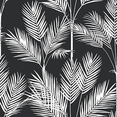 King Palm Silhouette Wallpaper | Jeffrey Stevens