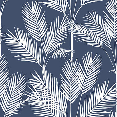 King Palm Silhouette Wallpaper | Jeffrey Stevens