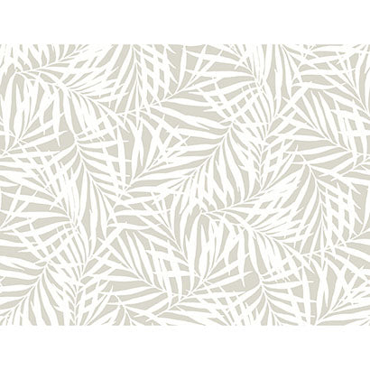 Oahu Fronds Wallpaper | Jeffrey Stevens