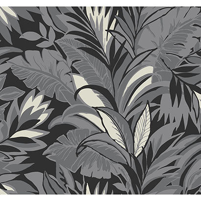 Palm Silhouette Wallpaper | Jeffrey Stevens