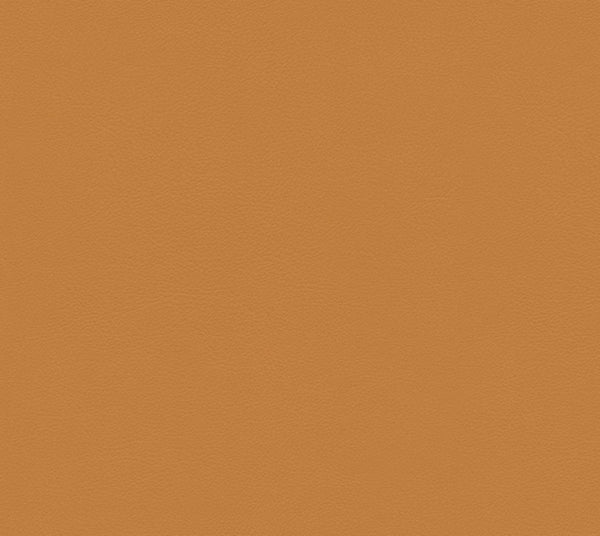 Sultan - Squash | Commercial Fabric | Los Angeles Fabrics