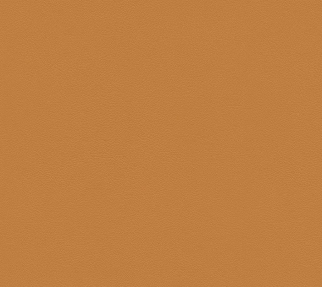 Sultan - Squash Wallcovering | Phillipe Romano