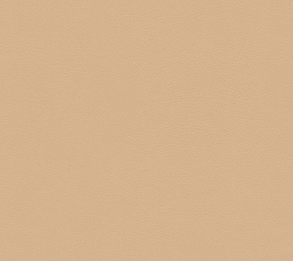 Sultan - Goldenrod | Commercial Fabric | Los Angeles Fabrics