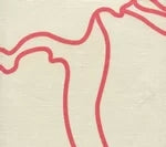 Coral on Tan Linen