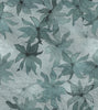 Clematis Blue Shadow
