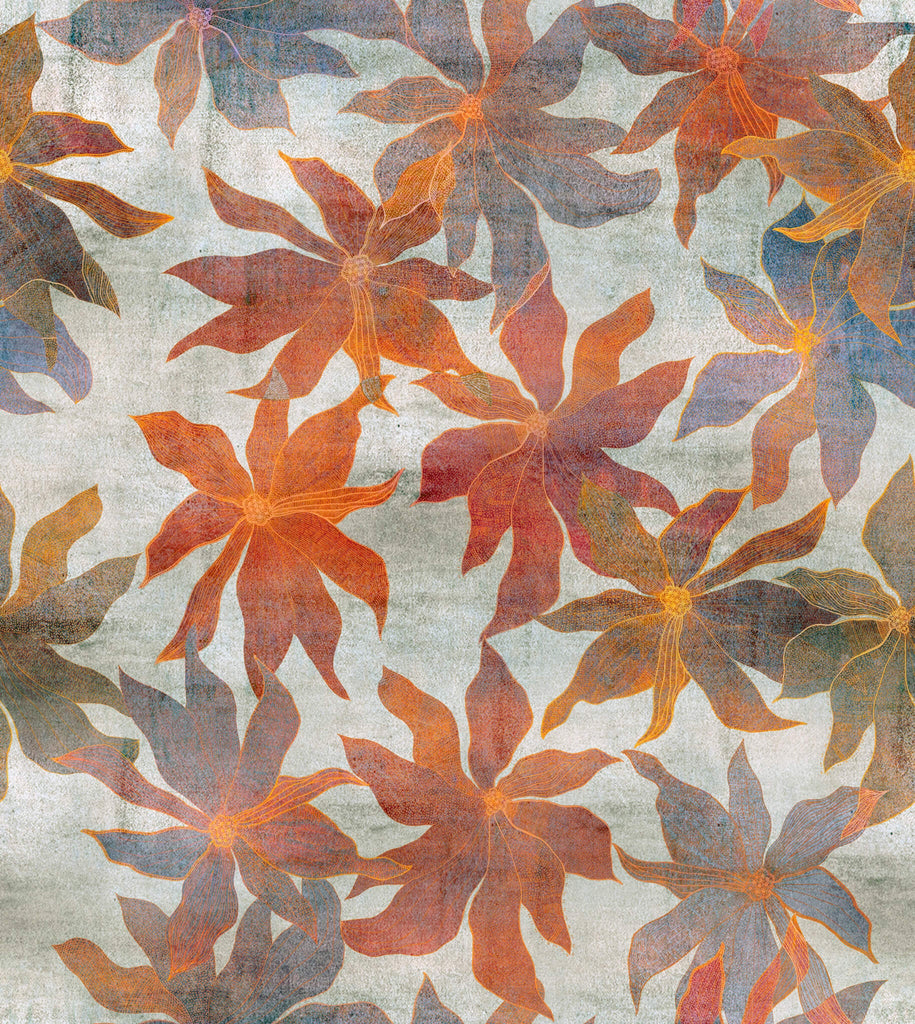 Clematis Ember